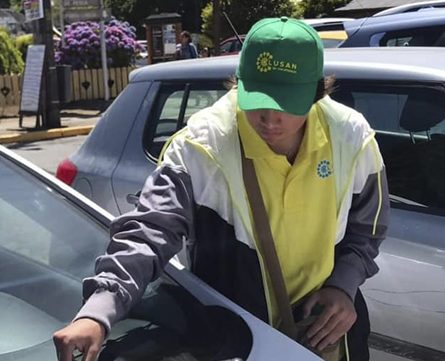 FRUTILLAR INICIÓ EL COBRO DE ESTACIONAMIENTOS EN EL SECTOR COSTANERA POR MESES DE ENERO Y FEBRERO