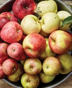 Fiesta de la Manzana