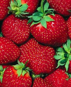 Fiesta de la Frutilla