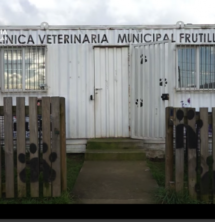 Veterinaria Municipal atiende gratuitamente.