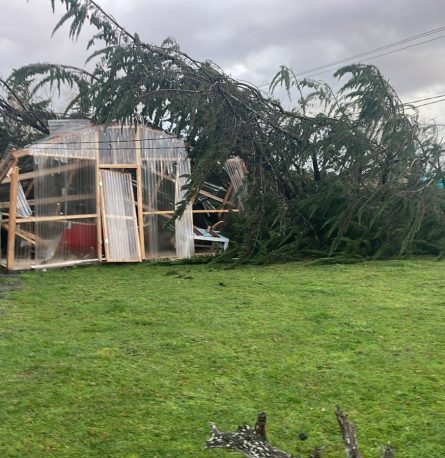 Departamento de Operaciones atendió emergencias por frente de viento y lluvia