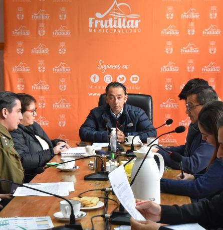 Sesiona Consejo de Seguridad Pública de Frutillar