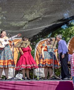 Fiesta de las tradiciones de Los Bajos